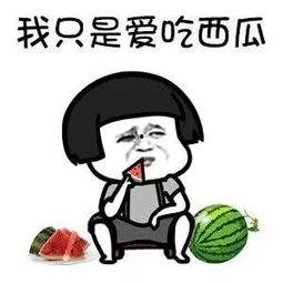 娱乐圈吃瓜的猹