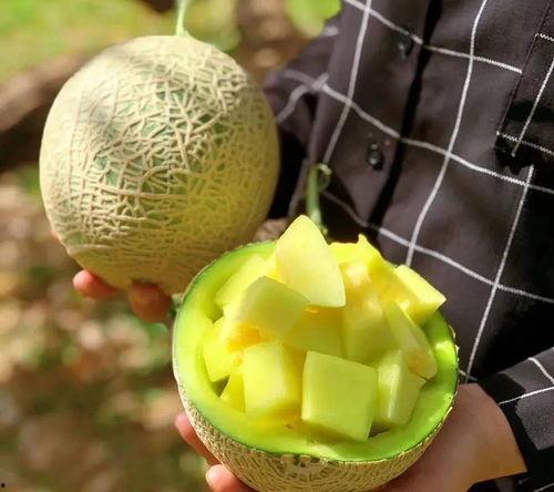 娱乐圈每年有瓜吃,盘点那些让人“瓜”意盎然的瞬间