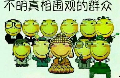 吃瓜群众路线什么意思,揭秘网络舆论场的围观智慧