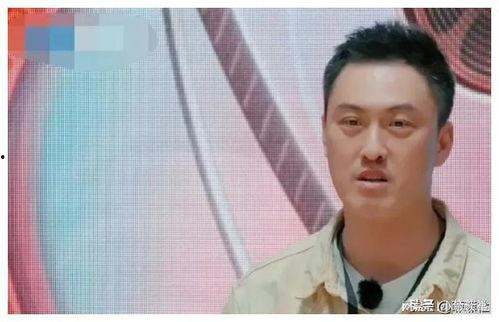 近期娱乐圈吃瓜搞笑视频