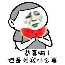 吃瓜群众娱乐大百科视频,揭秘娱乐圈幕后故事与趣味瞬间